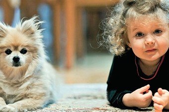 Evcil hayvanların çocuk gelişimindeki olumlu etkisi