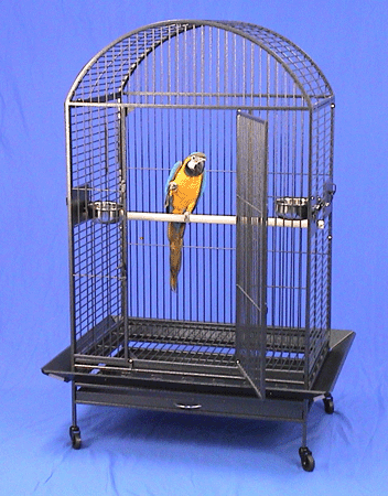 Papağan Kafesi 13