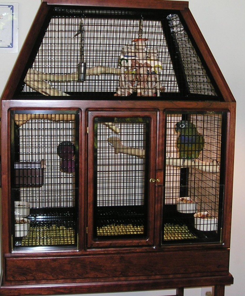 Papağan Kafesi 3