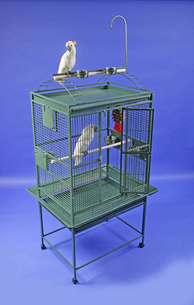Papağan Kafesi 4