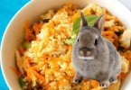 Tavşan yemi nasıl hazırlanır?