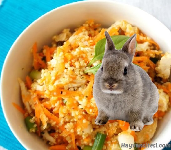 Tavşan yemi nasıl hazırlanır?